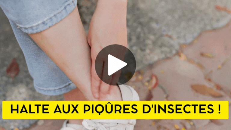 piqures
